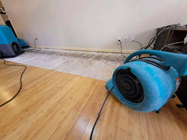 Professional Water Extraction technician working in Brookdale, CA